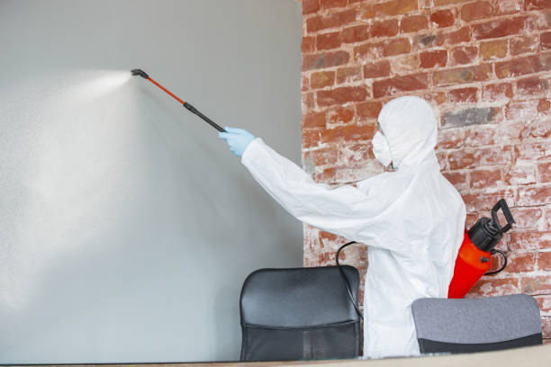 Reliable Clarks Green, PA Mold Removal Solutions